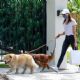 Aubrey Plaza – Out with her dogs