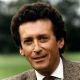 Robert Powell - The Detectives