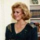 Susan Akin