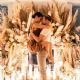 Dancing With the Stars' Derek Hough Engaged to Hayley Erbert
