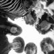Jefferson Airplane