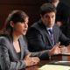 The Good Wife (2009)