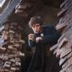 Fantastic Beasts and Where to Find Them (2016)