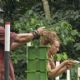Survivor (2000)