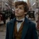 Fantastic Beasts and Where to Find Them (2016)