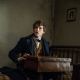 Fantastic Beasts and Where to Find Them (2016)