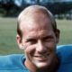 Dick Anderson