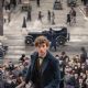 Fantastic Beasts and Where to Find Them (2016)