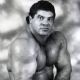 Don Muraco