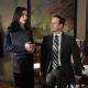 The Good Wife (2009)