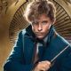 Fantastic Beasts and Where to Find Them (2016)