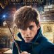 Fantastic Beasts and Where to Find Them (2016)