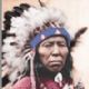 Flying Hawk