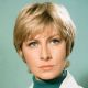Ann Lynn
