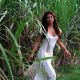 Aswang