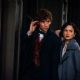 Fantastic Beasts and Where to Find Them (2016)