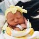 Brinley Rey