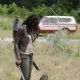 The Walking Dead (2010)