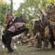 COLIN FARRELL who stars as Alexander the Great and his horse Bucephalas go up against BIN BUNLUERIT as Poros, King of India and his war elephant in the action adventure drama Alexander, distributed by Warner Bros. Pictures.