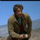 RICHARD BOONE COLLECTION