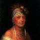 White Plume