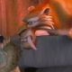 Sid (voiced by John Leguizamo) and Diego (voiced by Denis Leary) in 20th Century Fox Pictures', Ice Age 2.