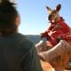 Jerry O'Connell and Kangaroo Jack in Castle Rock Entertainment's family action adventure comedy, 'Kangaroo Jack,' distributed by Warner Bros. Pictures.