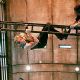 Thomas Jane dangles precariously above a vicious shark in Warner Brothers' Deep Blue Sea - 1999