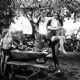 Tarzan's Secret Treasure