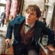 Fantastic Beasts and Where to Find Them (2016)