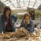 Bones (2005)