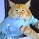 Keyboard Cat