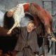The Hunchback