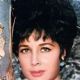 Flor Silvestre