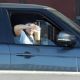 Amanda Bynes – Seen at Jack in The Box drive-thru and an Urgent Cafe in Los Angeles