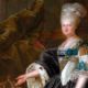 Maria Kunigunde of Saxony