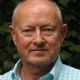 Michael Findlay (art expert)