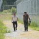 The Walking Dead (2010)