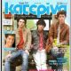 The Jonas Brothers
