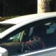 Robert Pattinson and FKA Twigs driving in Los Angeles (September 22, 2014)