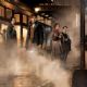 Fantastic Beasts and Where to Find Them (2016)