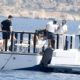 Irina Shayk – On a yacht with Leonardo DiCaprio and Edward Enninful in Sardagna