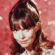 Barbara Feldon