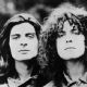 T. Rex
