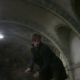 Fantastic Beasts and Where to Find Them (2016)