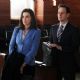 The Good Wife (2009)