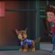 PAW Patrol: The Movie (2021)