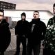 The Acacia Strain