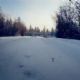 Driven to Extremes