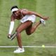 Venus Williams – 2019 Wimbledon Tennis Championships in London
